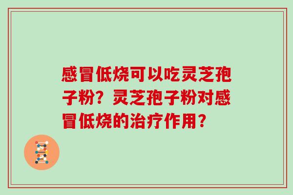 低烧可以吃灵芝孢子粉?灵芝孢子粉对低烧的作用? 低烧可以吃灵芝孢子粉?灵芝孢子粉对低烧的作用?