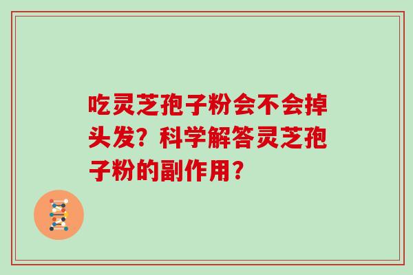 吃灵芝孢子粉会不会掉头发?科学解答灵芝孢子粉的副作用? 吃灵芝孢子粉会不会掉头发?科学解答灵芝孢子粉的副作用?