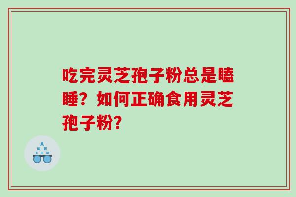 吃完灵芝孢子粉总是瞌睡？如何正确食用灵芝孢子粉？