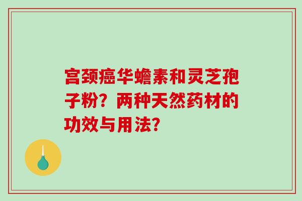 宫颈华蟾素和灵芝孢子粉?两种天然药材的功效与用法? 宫颈华蟾素和灵芝孢子粉?两种天然药材的功效与用法?