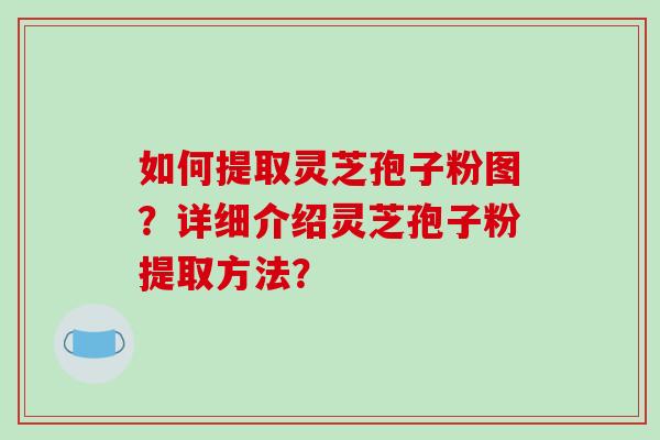 如何提取灵芝孢子粉图?详细介绍灵芝孢子粉提取方法? 如何提取灵芝孢子粉图?详细介绍灵芝孢子粉提取方法?
