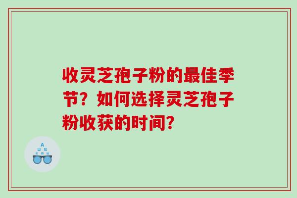 收灵芝孢子粉的佳季节？如何选择灵芝孢子粉收获的时间？