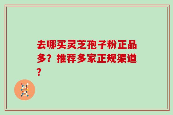 去哪买灵芝孢子粉正品多?推荐多家正规渠道? 去哪买灵芝孢子粉正品多?推荐多家正规渠道?