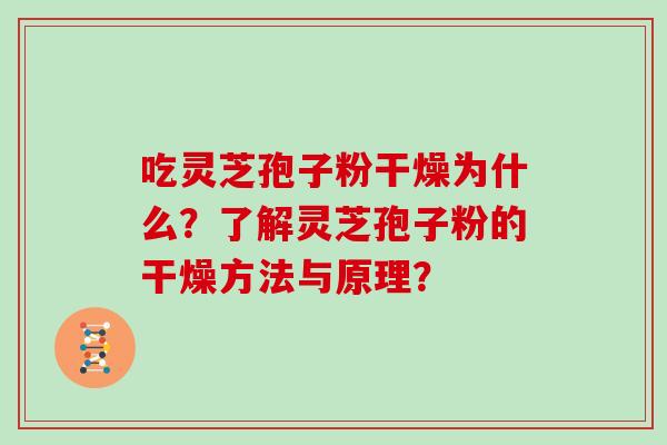 吃灵芝孢子粉干燥为什么?了解灵芝孢子粉的干燥方法与原理? 吃灵芝孢子粉干燥为什么?了解灵芝孢子粉的干燥方法与原理?