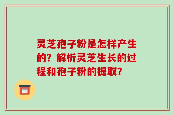灵芝孢子粉是怎样产生的?解析灵芝生长的过程和孢子粉的提取? 灵芝孢子粉是怎样产生的?解析灵芝生长的过程和孢子粉的提取?