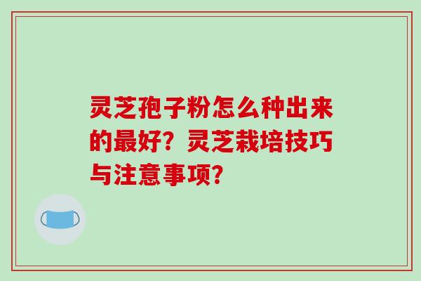 灵芝孢子粉怎么种出来的好？灵芝栽培技巧与注意事项？