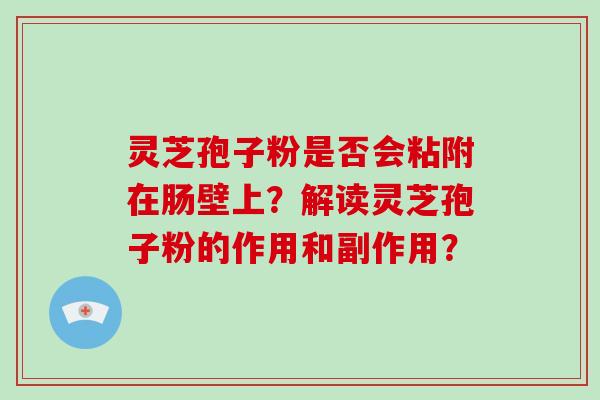 灵芝孢子粉是否会粘附在肠壁上?解读灵芝孢子粉的作用和副作用? 灵芝孢子粉是否会粘附在肠壁上?解读灵芝孢子粉的作用和副作用?