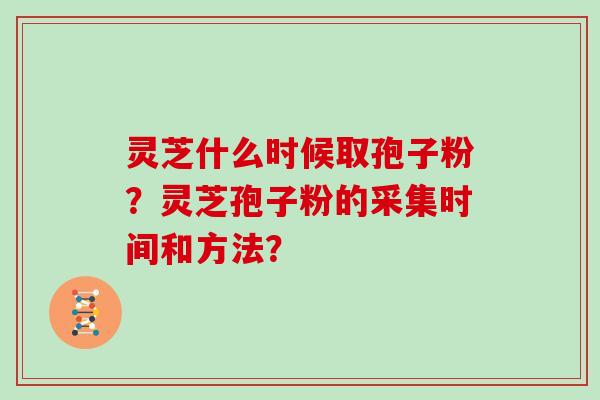 灵芝什么时候取孢子粉?灵芝孢子粉的采集时间和方法? 灵芝什么时候取孢子粉?灵芝孢子粉的采集时间和方法?