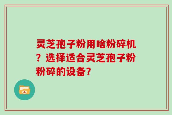 灵芝孢子粉用啥粉碎机?选择适合灵芝孢子粉粉碎的设备? 灵芝孢子粉用啥粉碎机?选择适合灵芝孢子粉粉碎的设备?