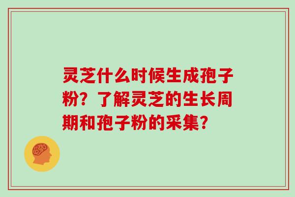 灵芝什么时候生成孢子粉?了解灵芝的生长周期和孢子粉的采集? 灵芝什么时候生成孢子粉?了解灵芝的生长周期和孢子粉的采集?