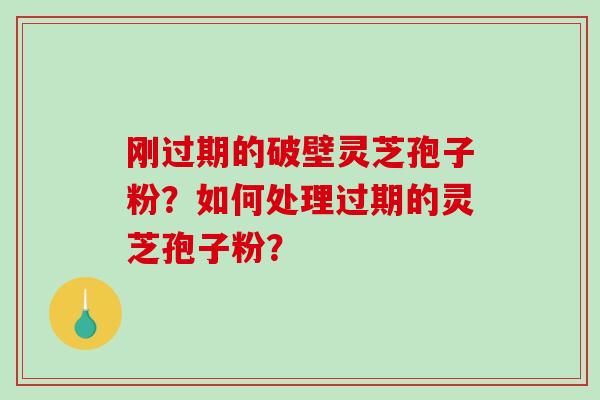 刚过期的破壁灵芝孢子粉?如何处理过期的灵芝孢子粉? 刚过期的破壁灵芝孢子粉?如何处理过期的灵芝孢子粉?