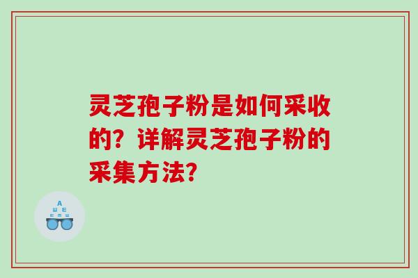 灵芝孢子粉是如何采收的?详解灵芝孢子粉的采集方法? 灵芝孢子粉是如何采收的?详解灵芝孢子粉的采集方法?