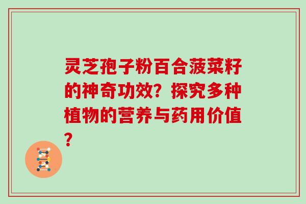 灵芝孢子粉百合菠菜籽的神奇功效?探究多种植物的营养与药用价值? 灵芝孢子粉百合菠菜籽的神奇功效?探究多种植物的营养与药用价值?