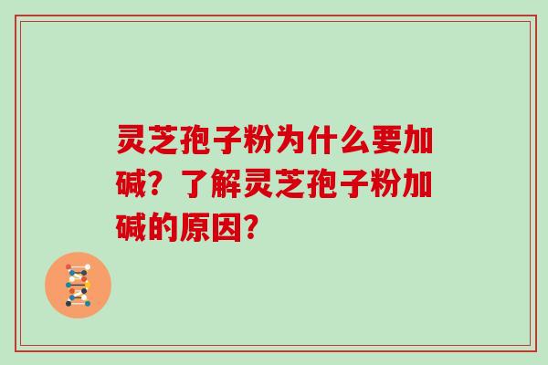 灵芝孢子粉为什么要加碱?了解灵芝孢子粉加碱的原因? 灵芝孢子粉为什么要加碱?了解灵芝孢子粉加碱的原因?
