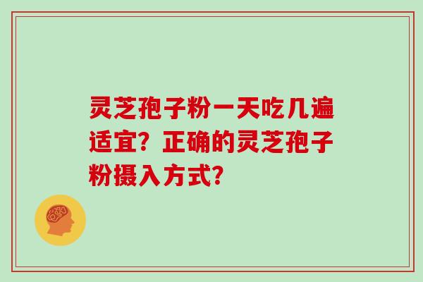 灵芝孢子粉一天吃几遍适宜?正确的灵芝孢子粉摄入方式? 灵芝孢子粉一天吃几遍适宜?正确的灵芝孢子粉摄入方式?