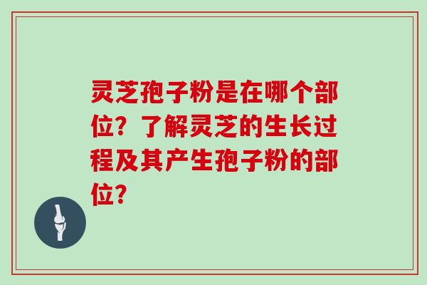 灵芝孢子粉是在哪个部位？了解灵芝的生长过程及其产生孢子粉的部位？