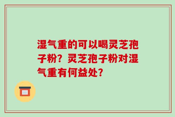 湿气重的可以喝灵芝孢子粉？灵芝孢子粉对湿气重有何益处？