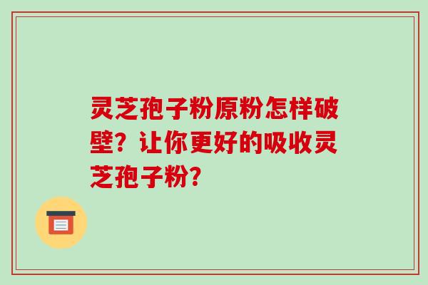 灵芝孢子粉原粉怎样破壁？让你更好的吸收灵芝孢子粉？