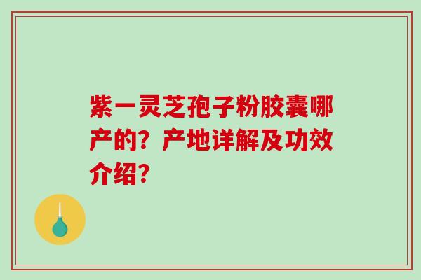 紫一灵芝孢子粉胶囊哪产的？产地详解及功效介绍？