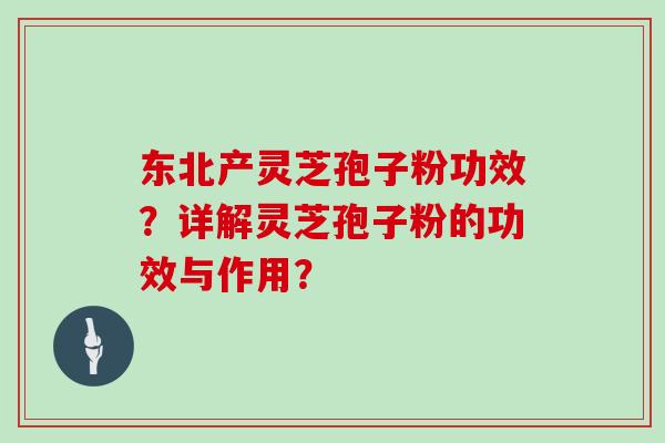 东北产灵芝孢子粉功效？详解灵芝孢子粉的功效与作用？