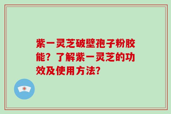 紫一灵芝破壁孢子粉胶能？了解紫一灵芝的功效及使用方法？