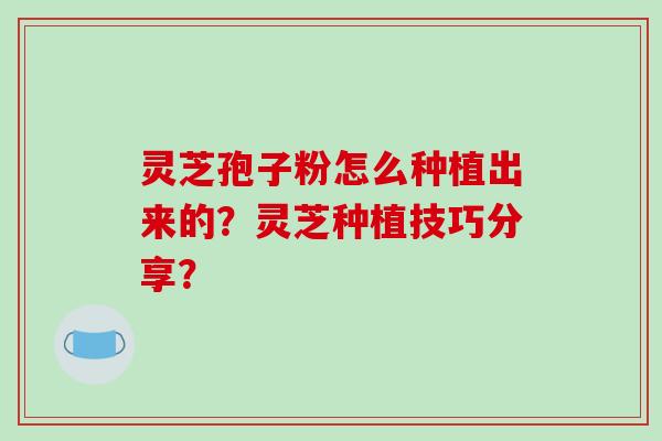 灵芝孢子粉怎么种植出来的？灵芝种植技巧分享？