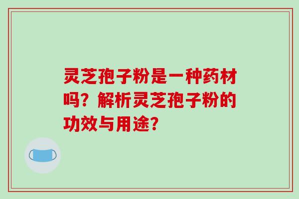 灵芝孢子粉是一种药材吗？解析灵芝孢子粉的功效与用途？