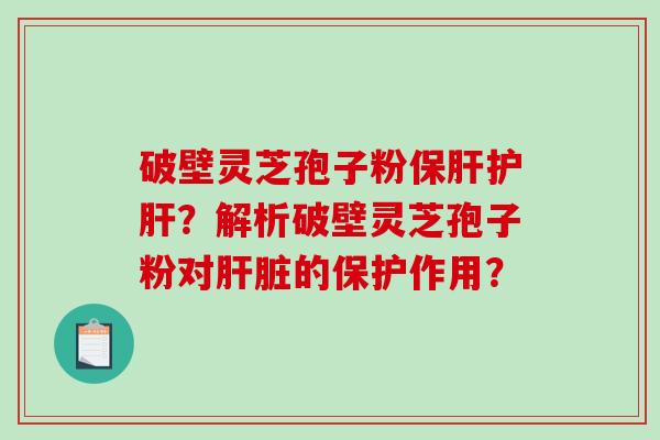 破壁灵芝孢子粉？解析破壁灵芝孢子粉对的保护作用？