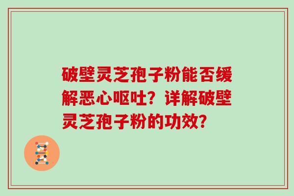 破壁灵芝孢子粉能否缓解恶心？详解破壁灵芝孢子粉的功效？