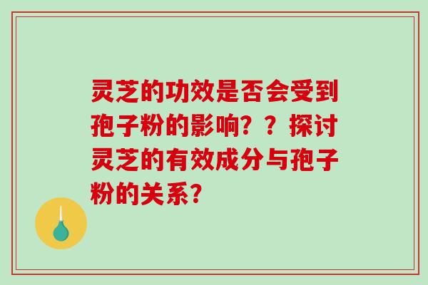 灵芝的功效是否会受到孢子粉的影响？？探讨灵芝的有效成分与孢子粉的关系？