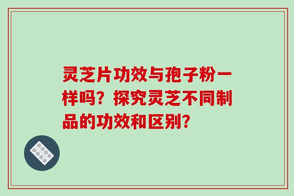 灵芝片功效与孢子粉一样吗？探究灵芝不同制品的功效和区别？