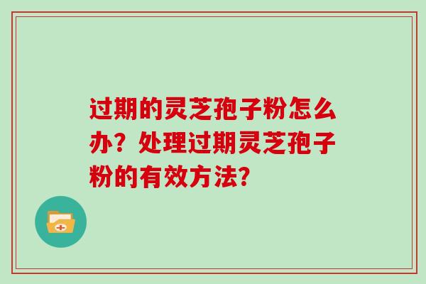 过期的灵芝孢子粉怎么办？处理过期灵芝孢子粉的有效方法？