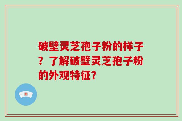 破壁灵芝孢子粉的样子？了解破壁灵芝孢子粉的外观特征？