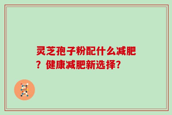 灵芝孢子粉配什么？健康新选择？
