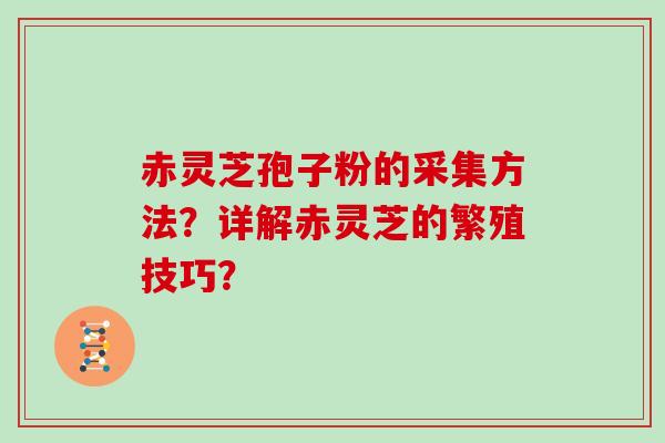 赤灵芝孢子粉的采集方法？详解赤灵芝的繁殖技巧？