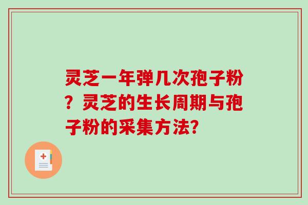 灵芝一年弹几次孢子粉？灵芝的生长周期与孢子粉的采集方法？