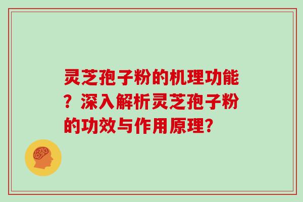 灵芝孢子粉的机理功能？深入解析灵芝孢子粉的功效与作用原理？