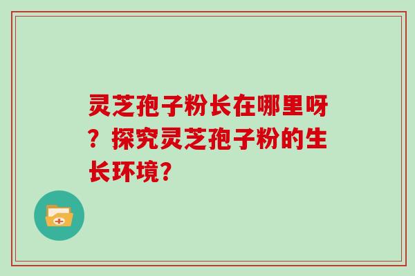 灵芝孢子粉长在哪里呀？探究灵芝孢子粉的生长环境？