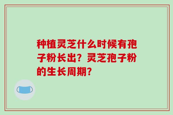 种植灵芝什么时候有孢子粉长出？灵芝孢子粉的生长周期？