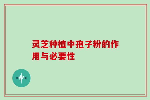 灵芝种植中孢子粉的作用与必要性