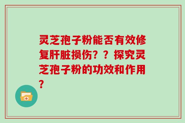 灵芝孢子粉能否有效修复损伤？？探究灵芝孢子粉的功效和作用？
