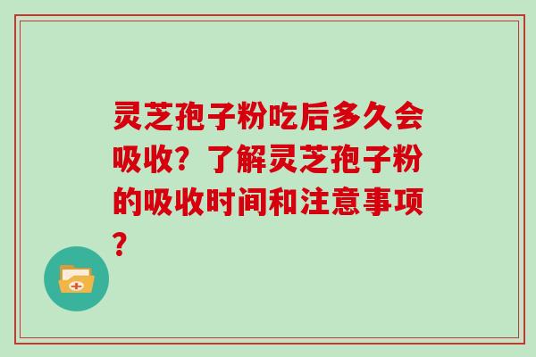 灵芝孢子粉吃后多久会吸收？了解灵芝孢子粉的吸收时间和注意事项？