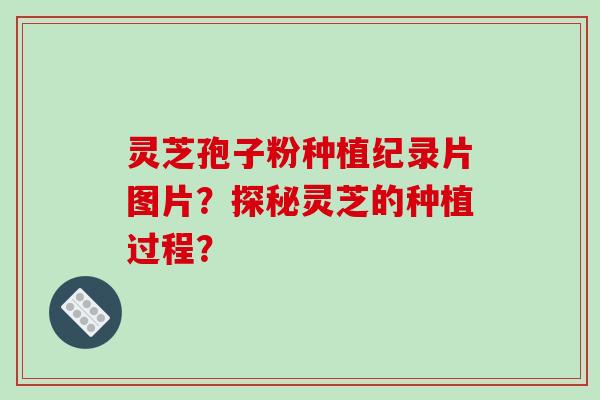 灵芝孢子粉种植纪录片图片？探秘灵芝的种植过程？