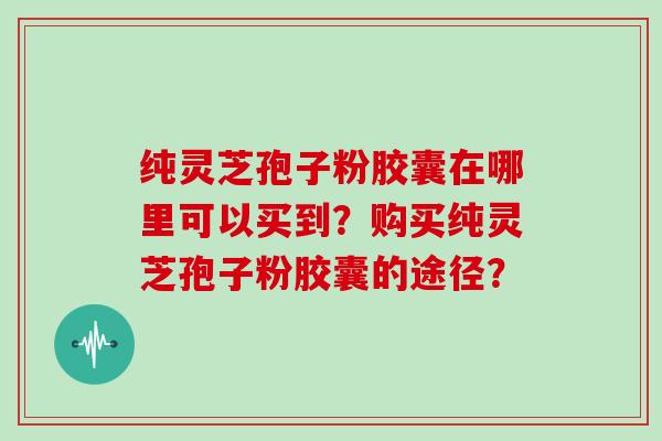 纯灵芝孢子粉胶囊在哪里可以买到？购买纯灵芝孢子粉胶囊的途径？