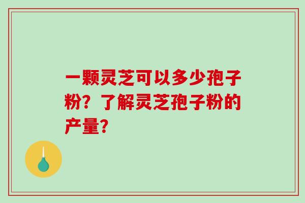 一颗灵芝可以多少孢子粉？了解灵芝孢子粉的产量？