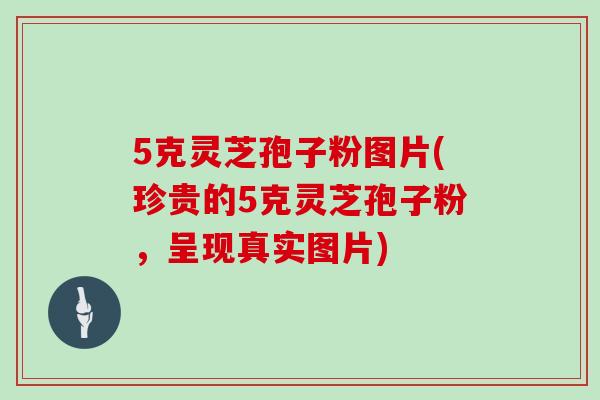 5克灵芝孢子粉图片(珍贵的5克灵芝孢子粉，呈现真实图片)