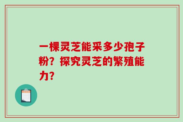 一棵灵芝能采多少孢子粉？探究灵芝的繁殖能力？