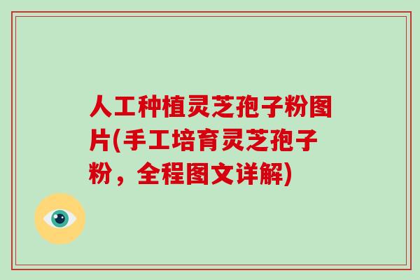 人工种植灵芝孢子粉图片(手工培育灵芝孢子粉，全程图文详解)