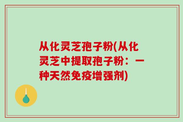 从化灵芝孢子粉(从化灵芝中提取孢子粉:一种天然免疫增强剂) 从化灵芝孢子粉(从化灵芝中提取孢子粉:一种天然免疫增强剂)
