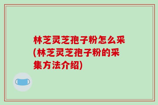 林芝灵芝孢子粉怎么采(林芝灵芝孢子粉的采集方法介绍) 林芝灵芝孢子粉怎么采(林芝灵芝孢子粉的采集方法介绍)
